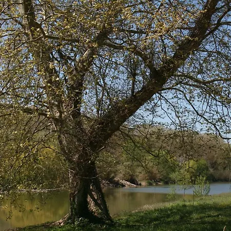 Brancós *