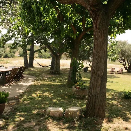 Brancos Torroella De Montgri